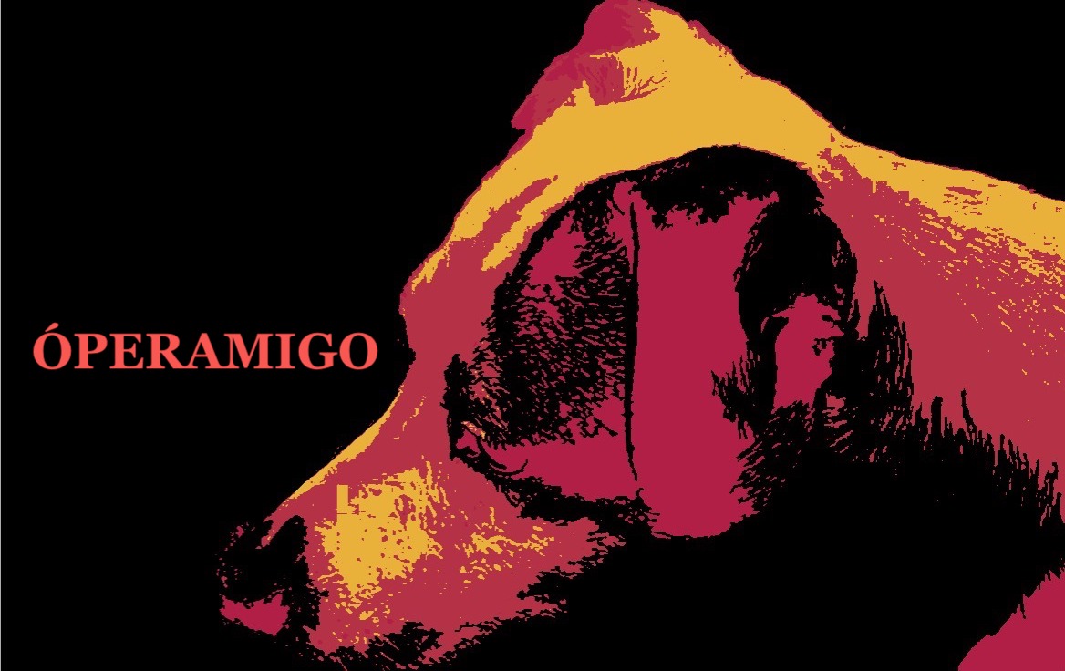 AMIGOS DE QNK.ÓPERA AMIGOS DE QNK.ÓPERA